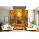 Wallpapers mural autumn alley in the forest Wallpapers mural autumn alley in the forest