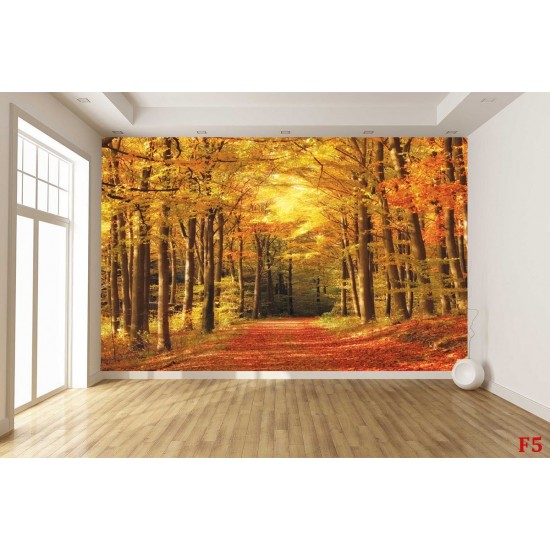Wallpapers mural autumn alley in the forest Wallpapers mural autumn alley in the forest