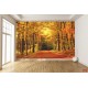 Wallpapers mural autumn alley in the forest Wallpapers mural autumn alley in the forest