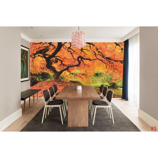 Wallpapers mural beautiful orange tree near a lake