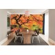 Wallpapers mural beautiful orange tree near a lake