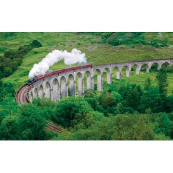 Wallpapers mural beautiful view with a train and a bridge