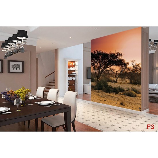 Wall mural sunset in Africa's savanna