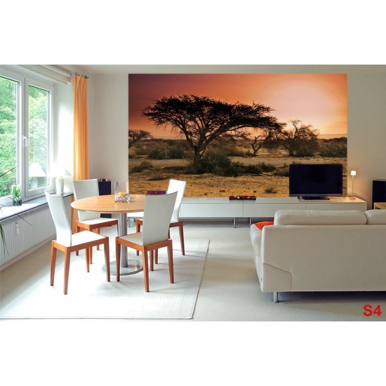 Wall mural sunset in Africa's savanna