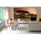 Wall mural sunset in Africa's savanna