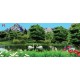 Wallpapers 3D view of lake and swans Wallpapers 3D view of lake and swans