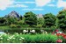Wallpapers 3D view of lake and swans