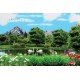 Wallpapers 3D view of lake and swans Wallpapers 3D view of lake and swans