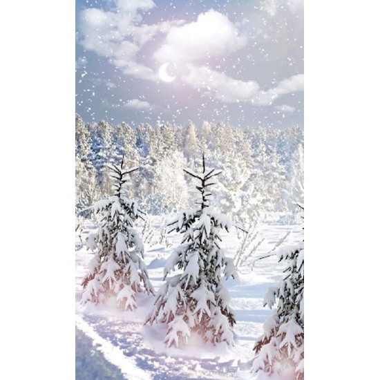 Wall mural winter landscape with pine trees