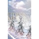 Wall mural winter landscape with pine trees