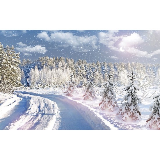 Wall mural winter landscape with pine trees