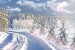 Wall mural winter landscape with pine trees