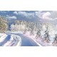 Wall mural winter landscape with pine trees