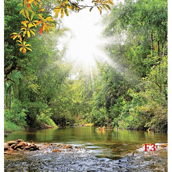 Wallpapers Beautiful landscape with a river in a forest and sunshine