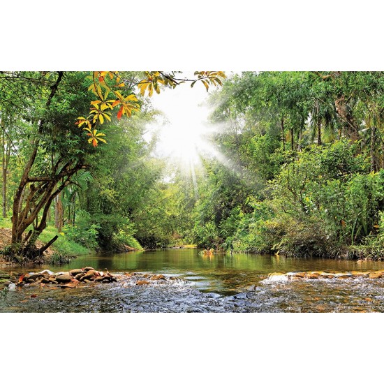 Wallpapers Beautiful landscape with a river in a forest and sunshine
