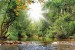 Wallpapers Beautiful landscape with a river in a forest and sunshine