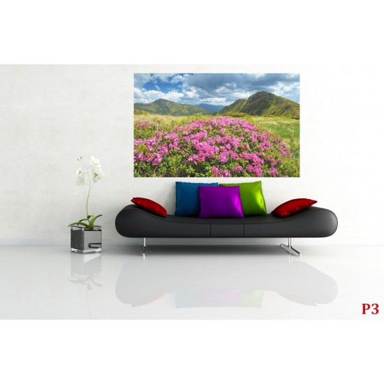Wallpapers mural beautiful pink flowers on mountain background Wallpapers mural beautiful pink flowers on mountain background