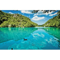 Wall murals beautiful lake view