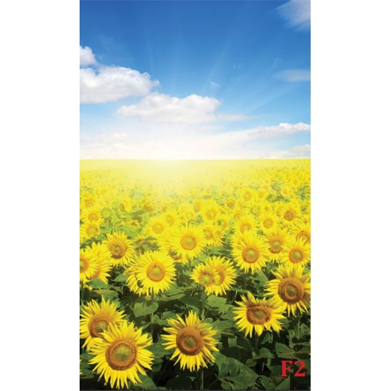 Wall mural field with sunflowers