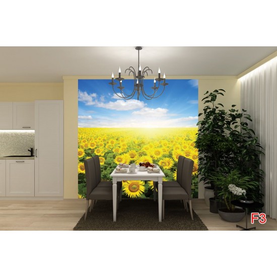 Wall mural field with sunflowers