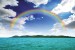 Wallpapers mural beautiful sky and rainbow over an island
