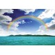 Wallpapers mural beautiful sky and rainbow over an island