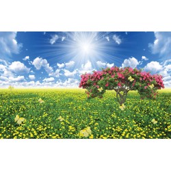 Wallpapers mural sunny field with yellow flowers and butterflies