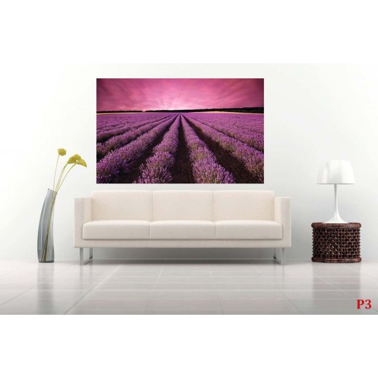 Photo mural night view of lavender field Photo mural night view of lavender field