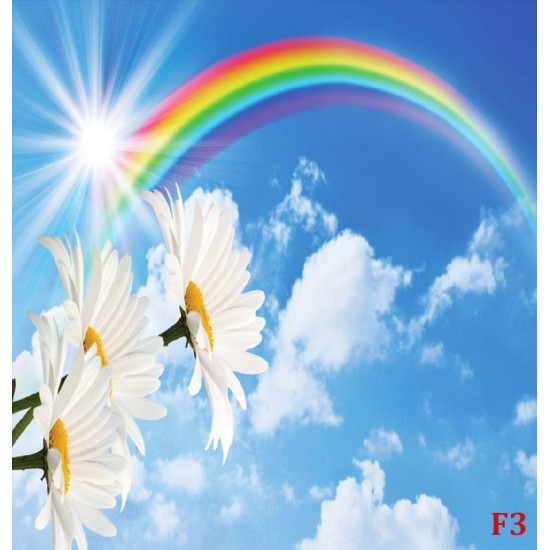 Wallpapers mural blue sky with a rainbow and flowers Wallpapers mural blue sky with a rainbow and flowers