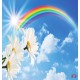 Wallpapers mural blue sky with a rainbow and flowers Wallpapers mural blue sky with a rainbow and flowers