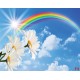 Wallpapers mural blue sky with a rainbow and flowers Wallpapers mural blue sky with a rainbow and flowers