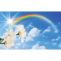 Wallpapers mural blue sky with a rainbow and flowers Wallpapers mural blue sky with a rainbow and flowers