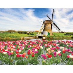 Wallpapers mural beautiful tulips with a windmill Wallpapers mural beautiful tulips with a windmill
