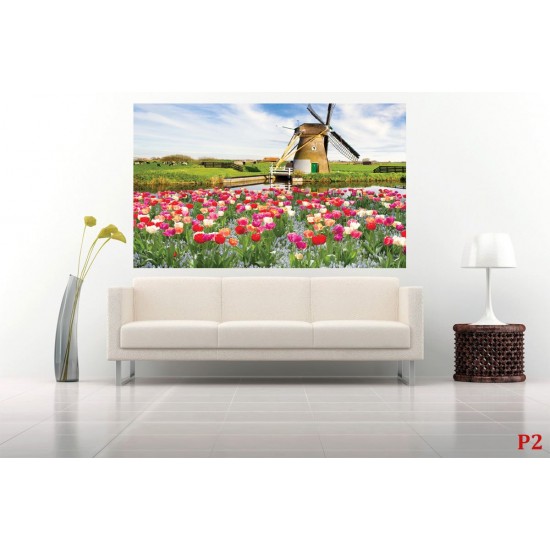 Wallpapers mural beautiful tulips with a windmill Wallpapers mural beautiful tulips with a windmill