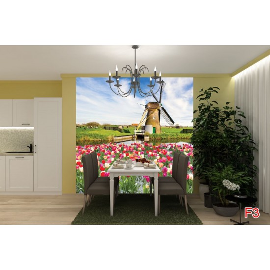 Wallpapers mural beautiful tulips with a windmill Wallpapers mural beautiful tulips with a windmill
