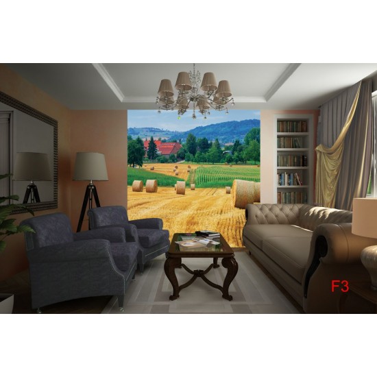 Wallpapers mural beautiful view meadow with bales