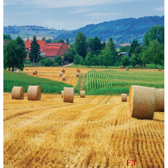Wallpapers mural beautiful view meadow with bales