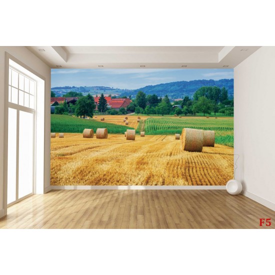 Wallpapers mural beautiful view meadow with bales