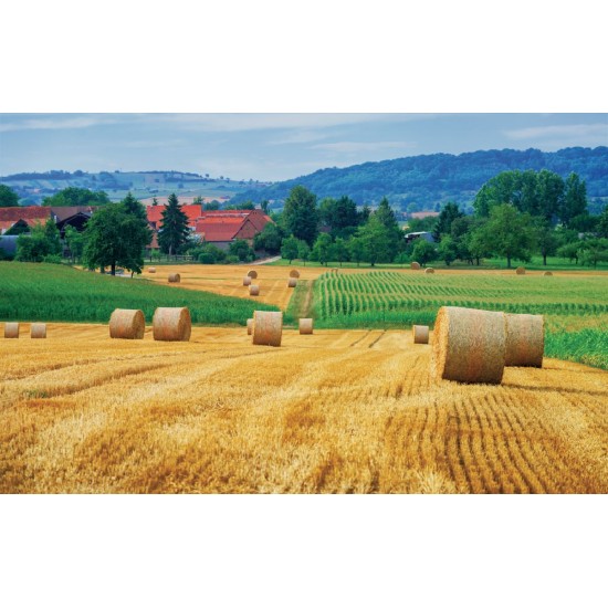 Wallpapers mural beautiful view meadow with bales
