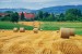 Wallpapers mural beautiful view meadow with bales