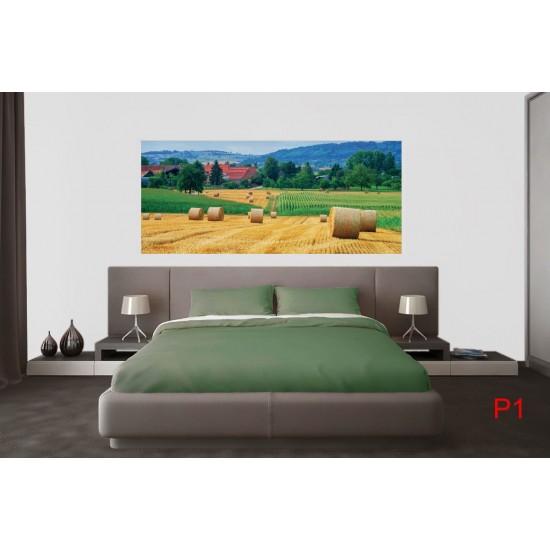 Wallpapers mural beautiful view meadow with bales