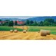 Wallpapers mural beautiful view meadow with bales