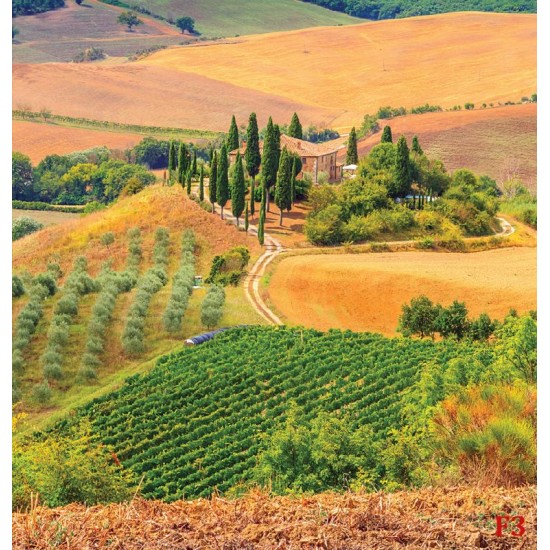 Wallpapers mural Beautiful Toscana meadow view 2 Wallpapers mural Beautiful Toscana meadow view 2