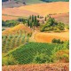 Wallpapers mural Beautiful Toscana meadow view 2 Wallpapers mural Beautiful Toscana meadow view 2