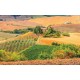 Wallpapers mural Beautiful Toscana meadow view 2 Wallpapers mural Beautiful Toscana meadow view 2
