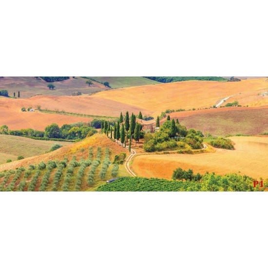 Wallpapers mural Beautiful Toscana meadow view 2 Wallpapers mural Beautiful Toscana meadow view 2