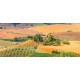 Wallpapers mural Beautiful Toscana meadow view 2 Wallpapers mural Beautiful Toscana meadow view 2