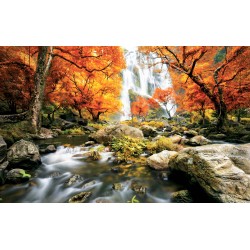 Wallpapers mural wonderful autumn forest waterfall