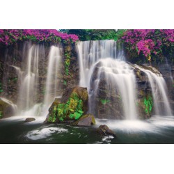 Wallpapers mural wonderful forest waterfall and pink flowers Wallpapers mural wonderful forest waterfall and pink flowers