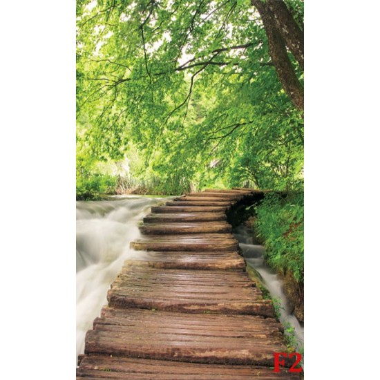 Photo murals  forest path near a river